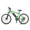 Bafang central motor mtb powerful electric bike